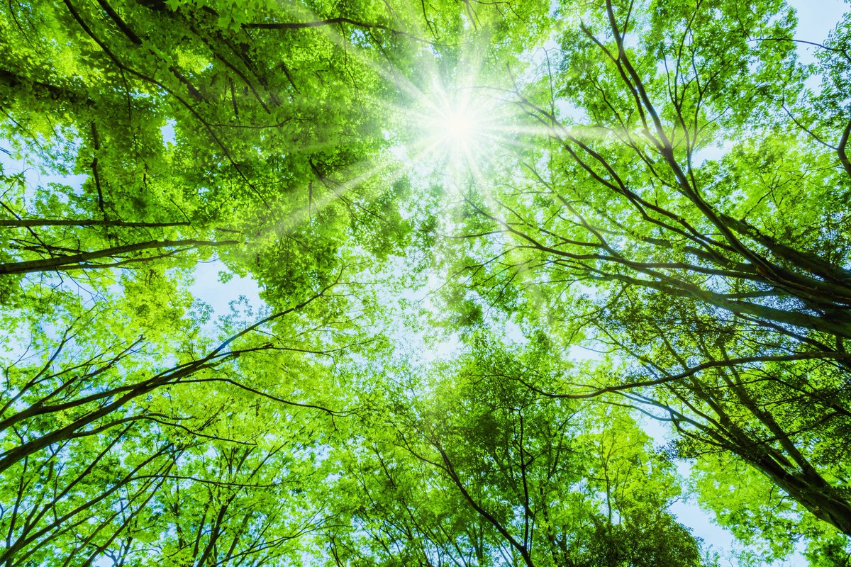 astrologyzone's tweet photo. Wednesday April 22
🌎 HAPPY EARTH DAY!! 🌳
“Look deep into nature, and then you will understand everything better.”
Albert Einstein https://t.co/ORmHi7XMvL