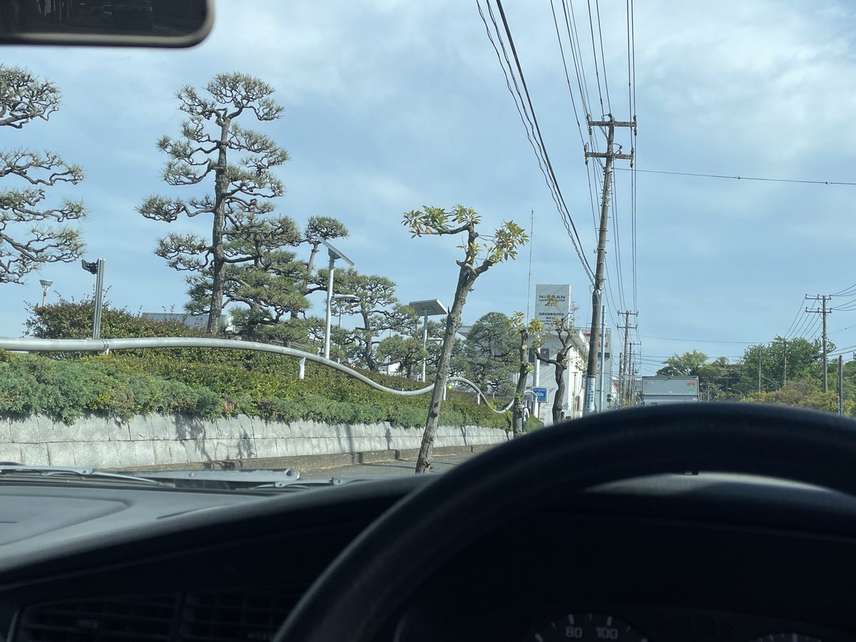 maildelivery90's tweet photo. #EU14
#U14ブルーバード
〈帰宅〉
感慨深い工場見学でした
そろそろ寝ます💤 https://t.co/9AESp04eWU