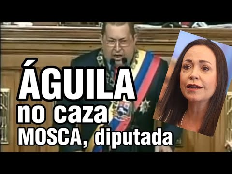 UCV News tweet media