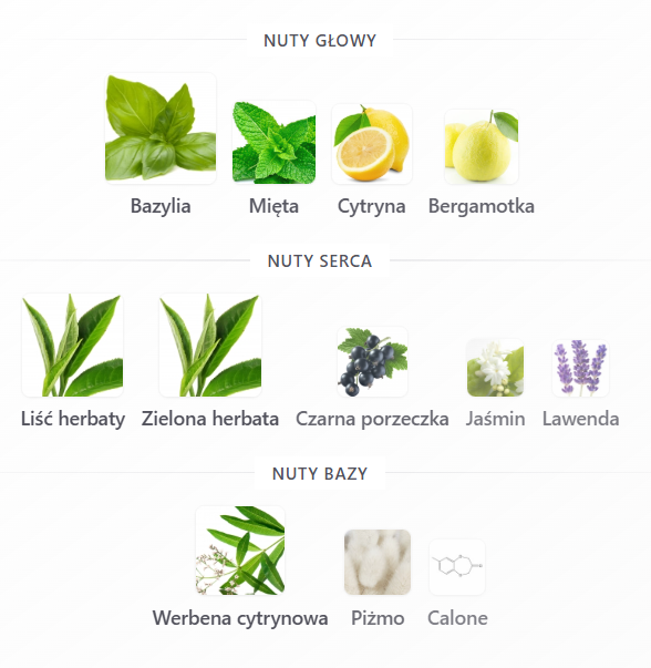 k 𓆝 𓆟 𓆞 tweet media