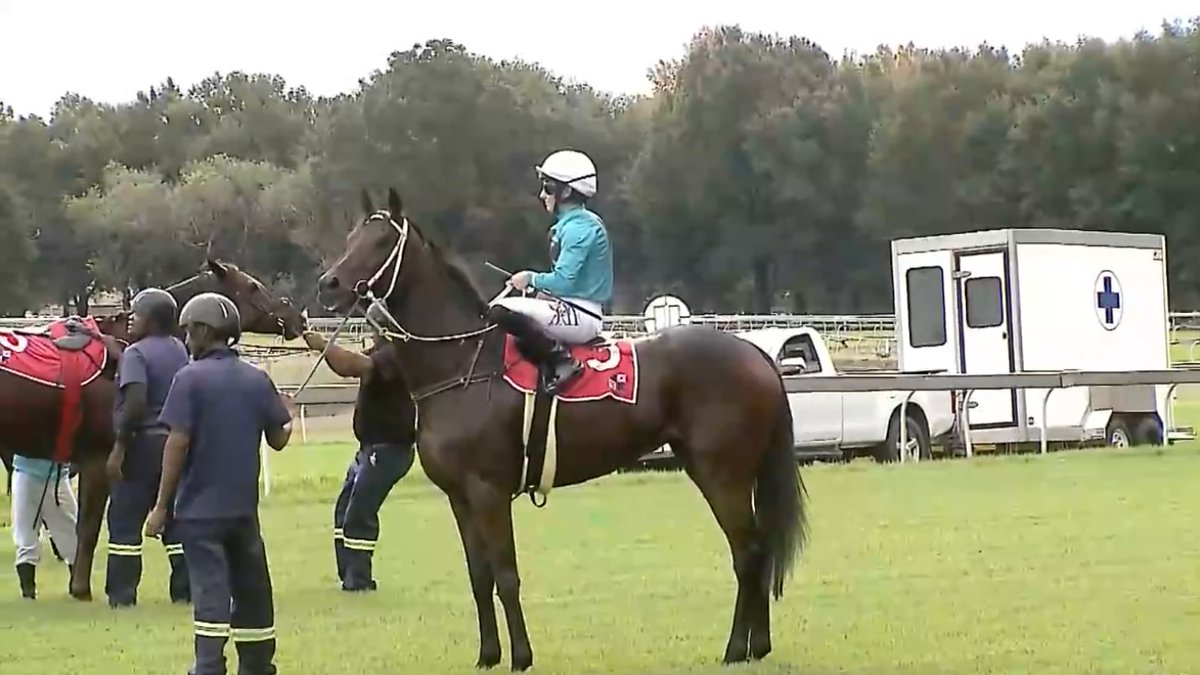 rebelsart's tweet image. Bravo 🇫🇷 Mickaëlle Michel🇯🇵@MickaelleMichel and Damova 3rd place in race 5 on Tuesday at Vaal, South Africa‼️🏇🥉🇿🇦
Trainer Joe Soma
💥Fought Hard!💥
#NeverGiveUp #WorkHard #MickaelleMichel
M.ミシェル #ミカエルミシェル
💪👊🌪️🥰
@FredericSpanu @noriri4 @ma_ouma1 @sebgoursaud