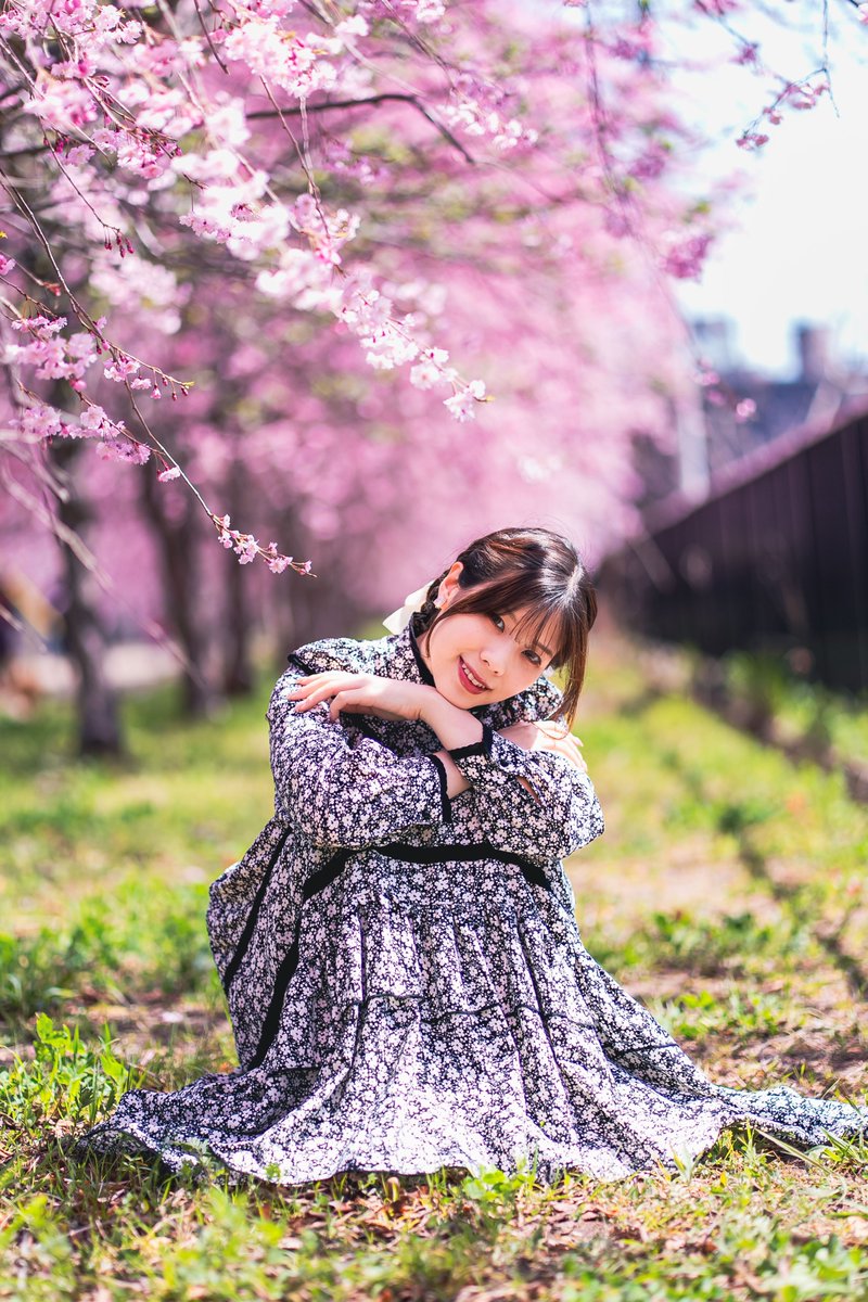 空乃Mikan tweet media