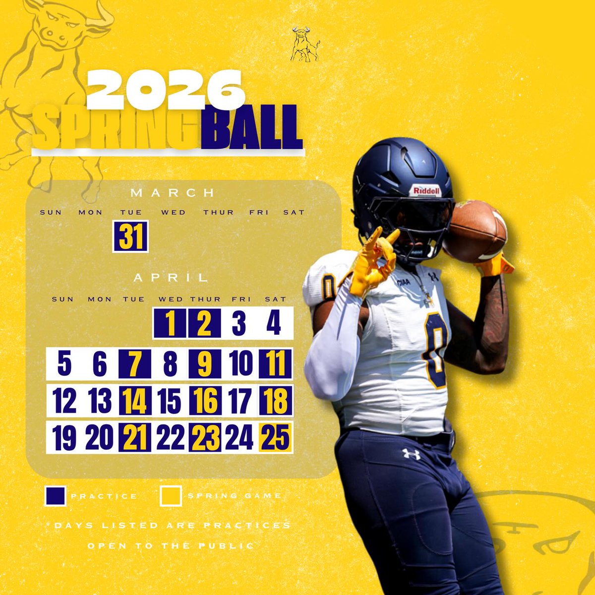 Golden Bulls tweet media