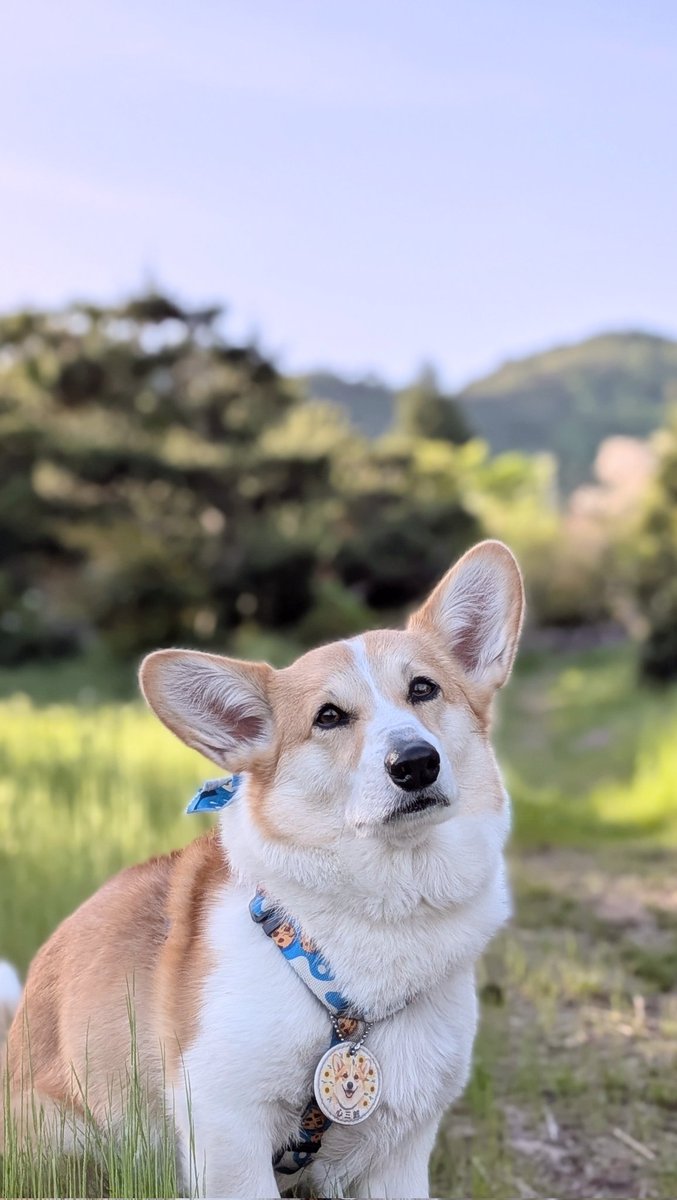 コジとしんのかぁしゃん(kazu) tweet media