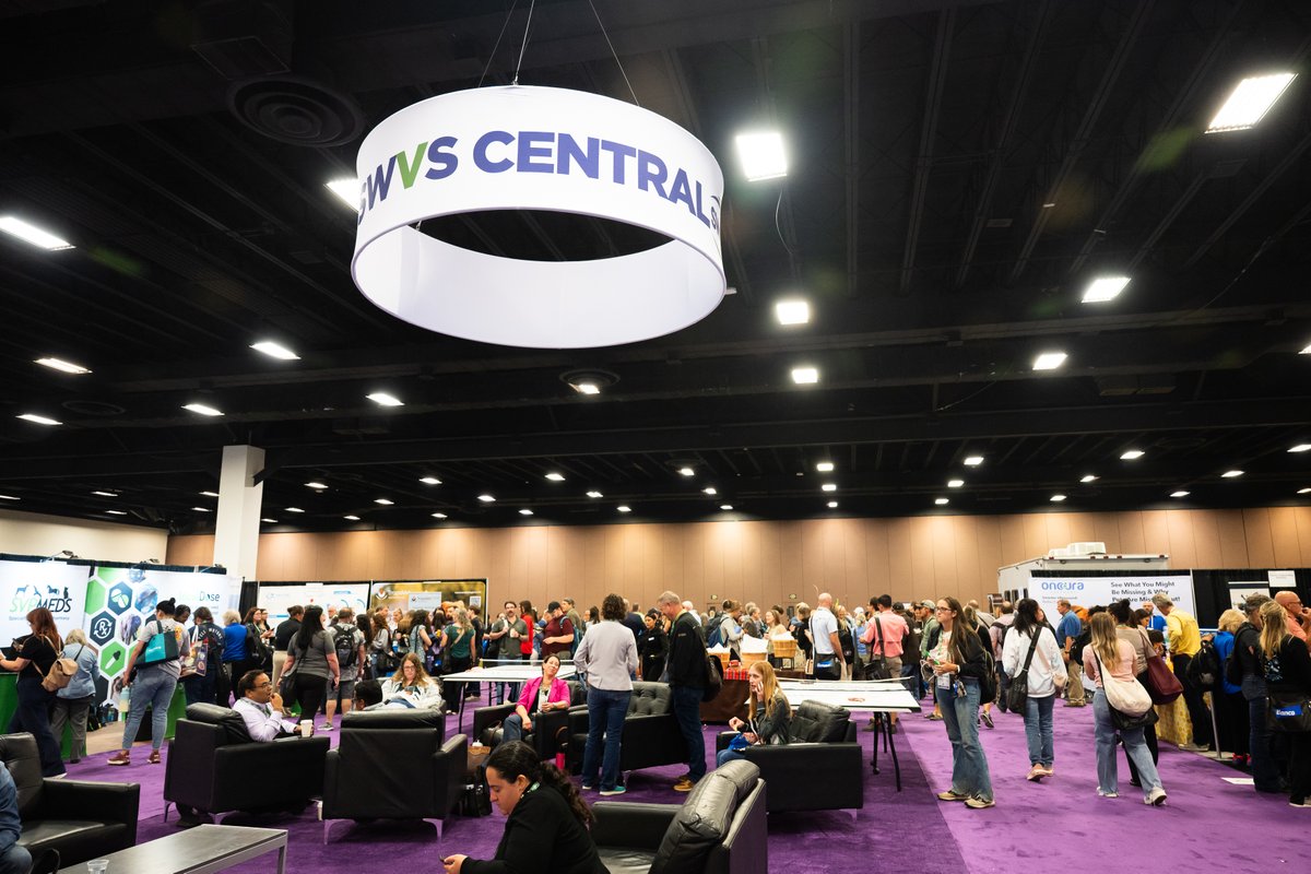 SWVS's tweet photo. Fiesta energy is in the air! 💃 We’re bringing that same spirit &amp; Southern hospitality to SWVS this Sept. Join y’all’s favorite vet community for world-class CE and big Texas fun. See you there! 🎡✨
Register here: https://t.co/3gZkFPYq4e
#SWVS2026 #FiestaSanAntonio #VetCE https://t.co/42sTu1FUgP