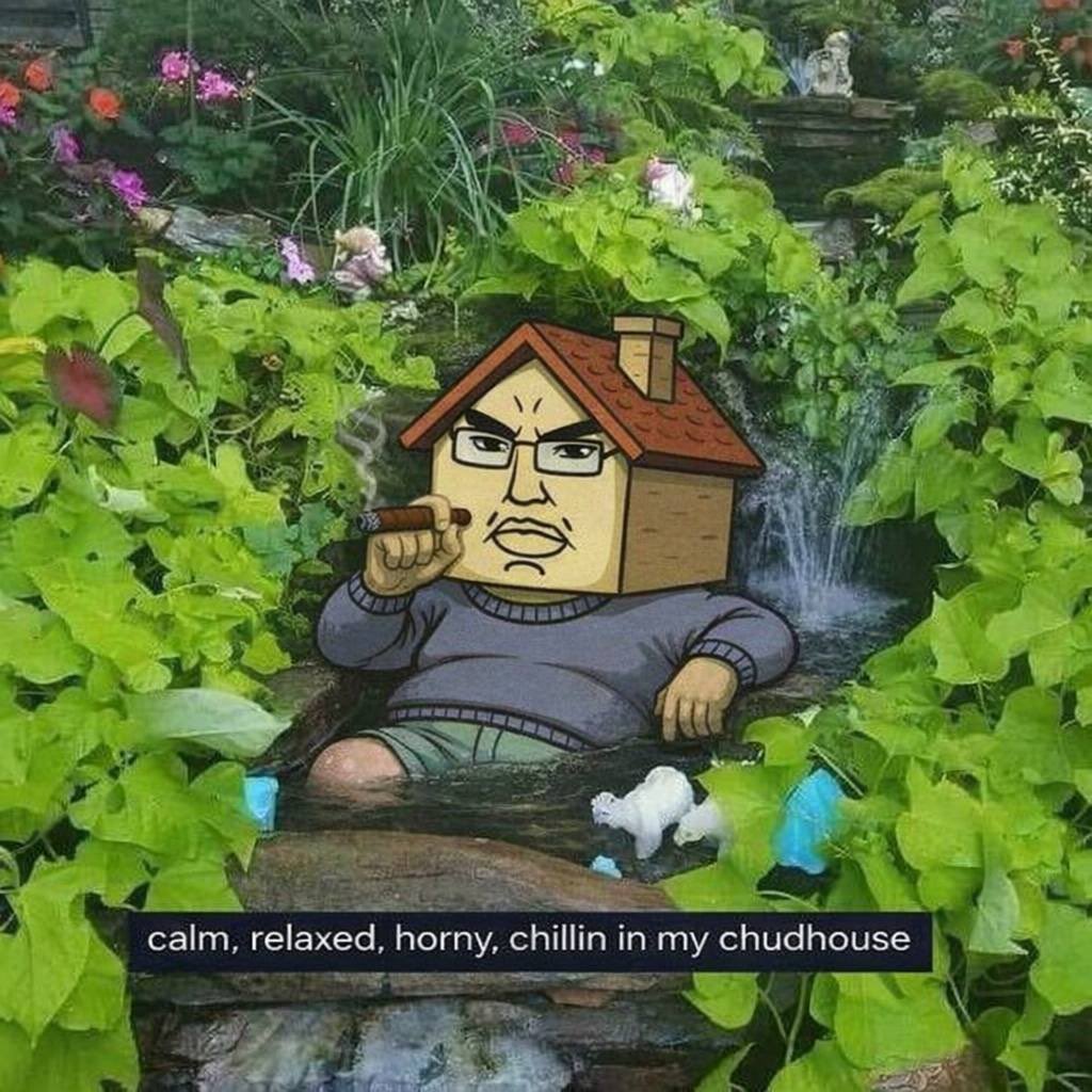 chudhouse tweet media