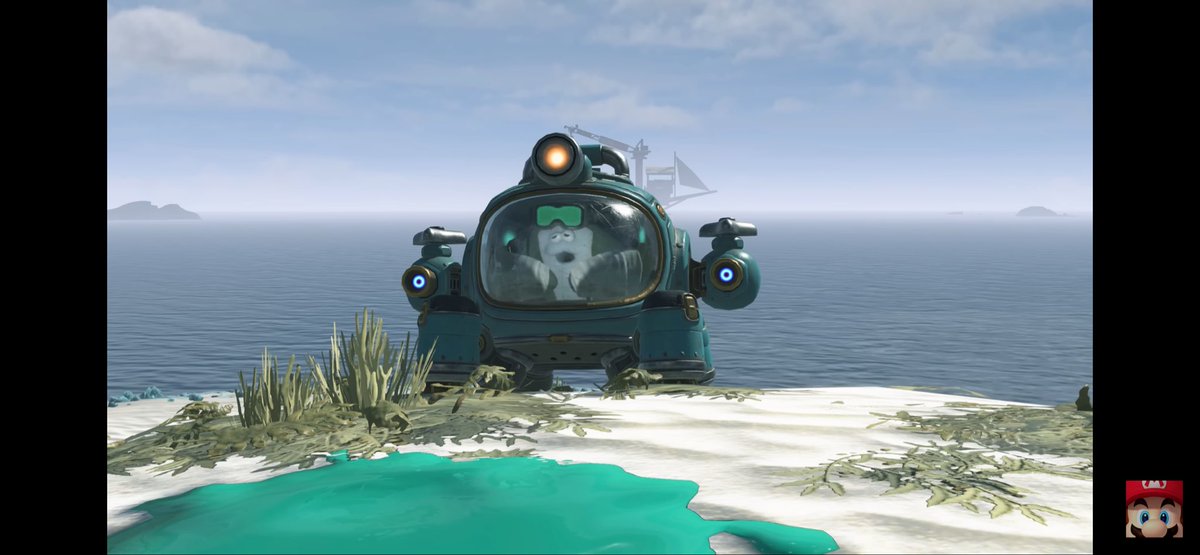 🌟@ShaneMar10🌟 tweet media