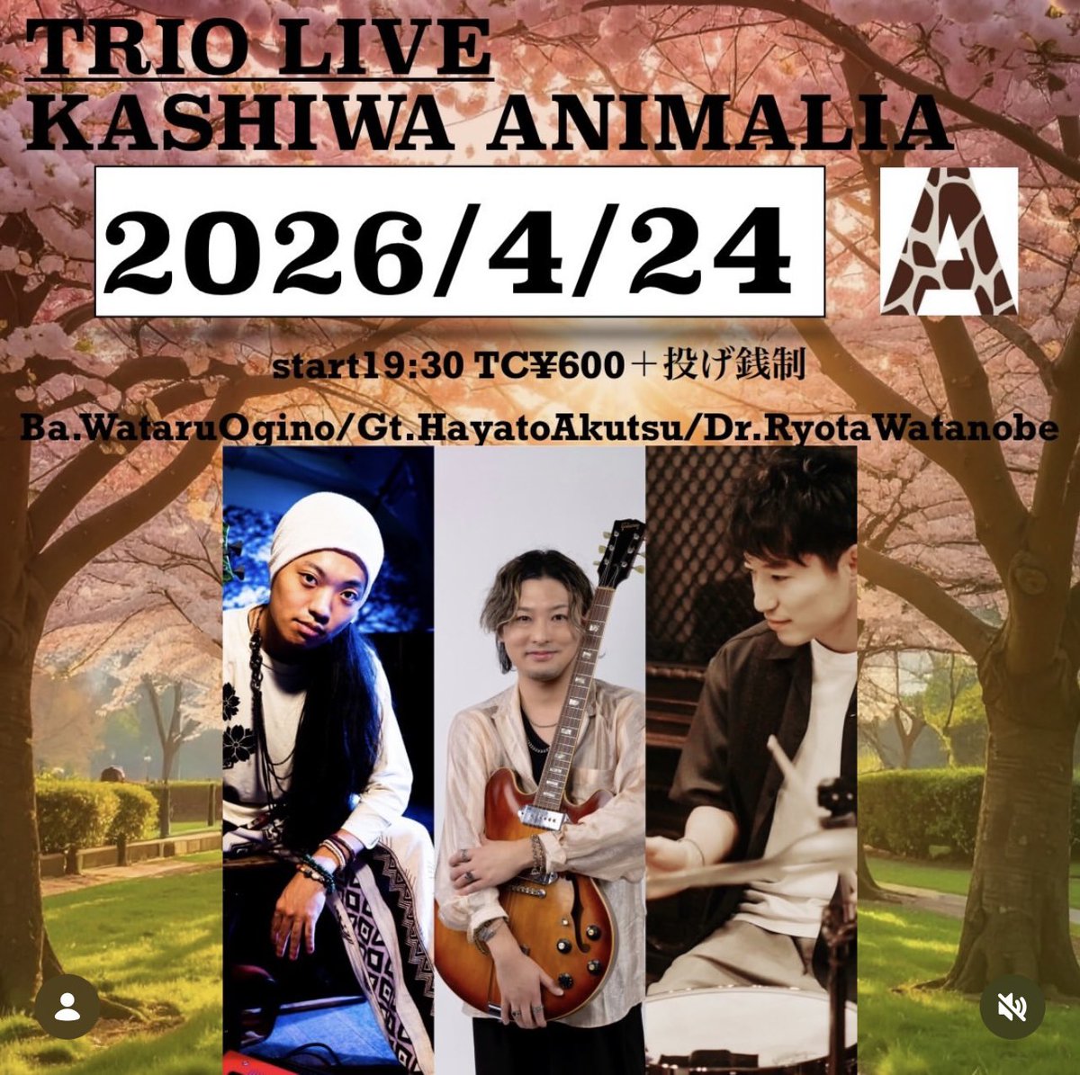 今週木曜4/23は新小岩月光にてジャズセッション
金曜4/24は柏アニマリアにてトリオライブです
是非！