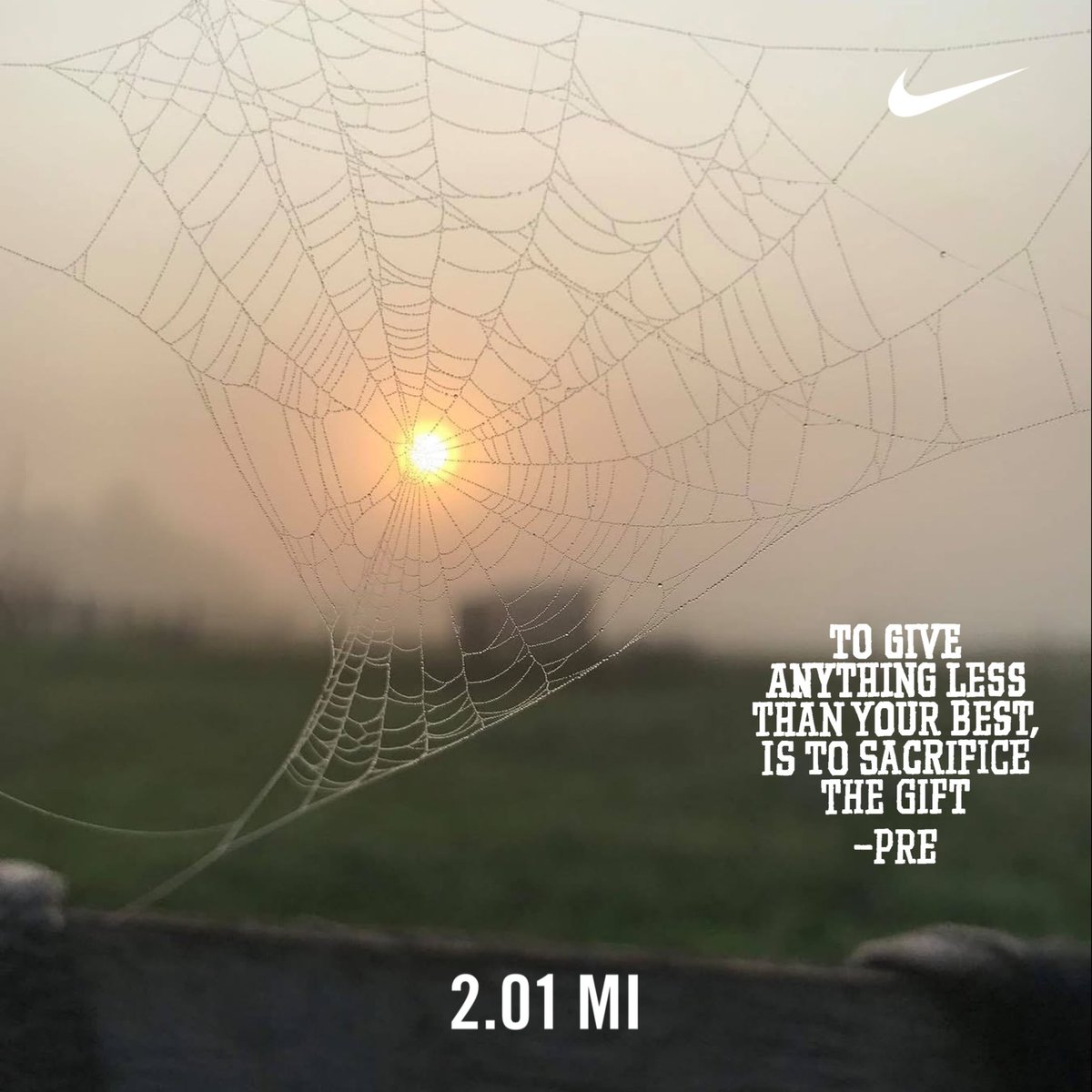 RunFranzyRun's tweet image. Morning run complete. ☀️👟😀

#Running #Runner #Run #HOKA #NRC #Fitness #Healthylife