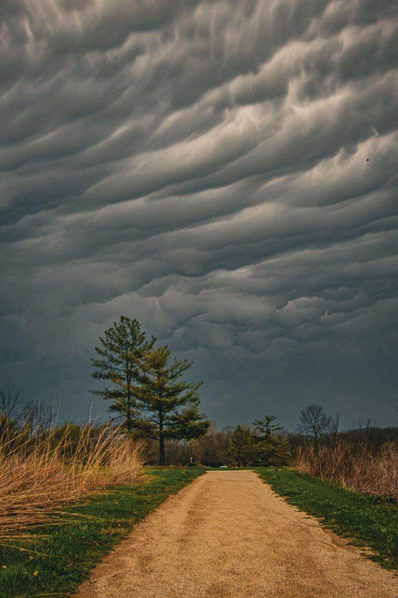 AdmiredArt tweet media