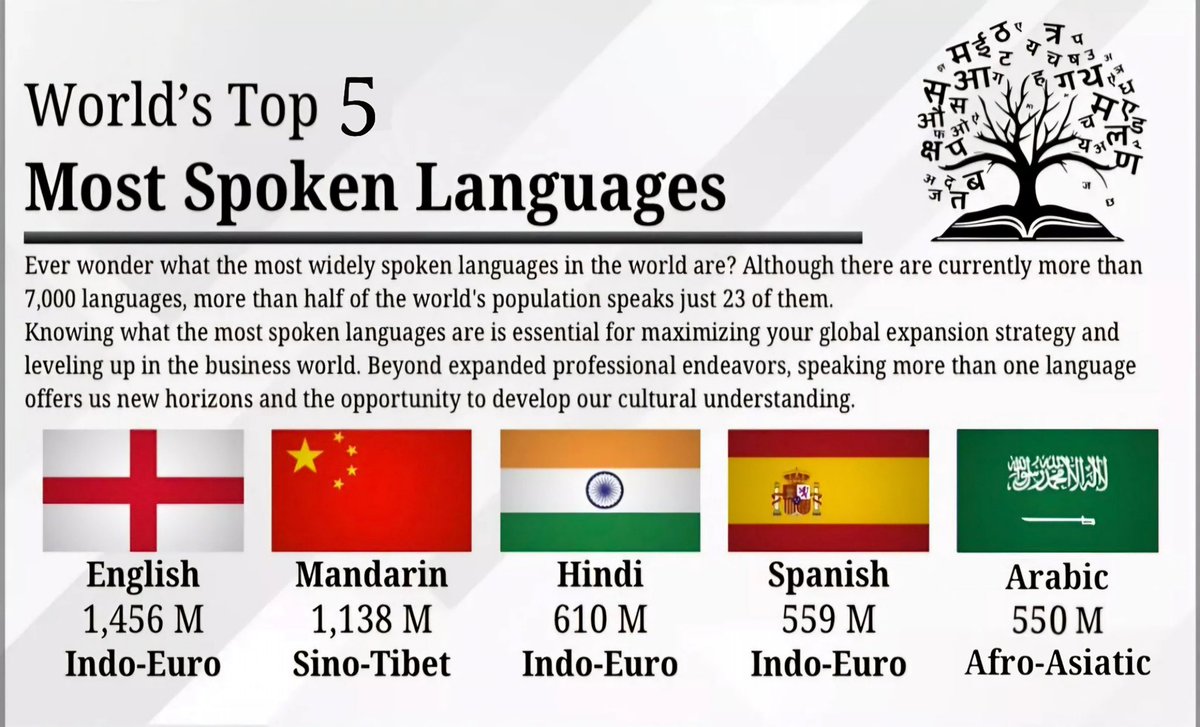 🐪 🇸🇦 tweet media