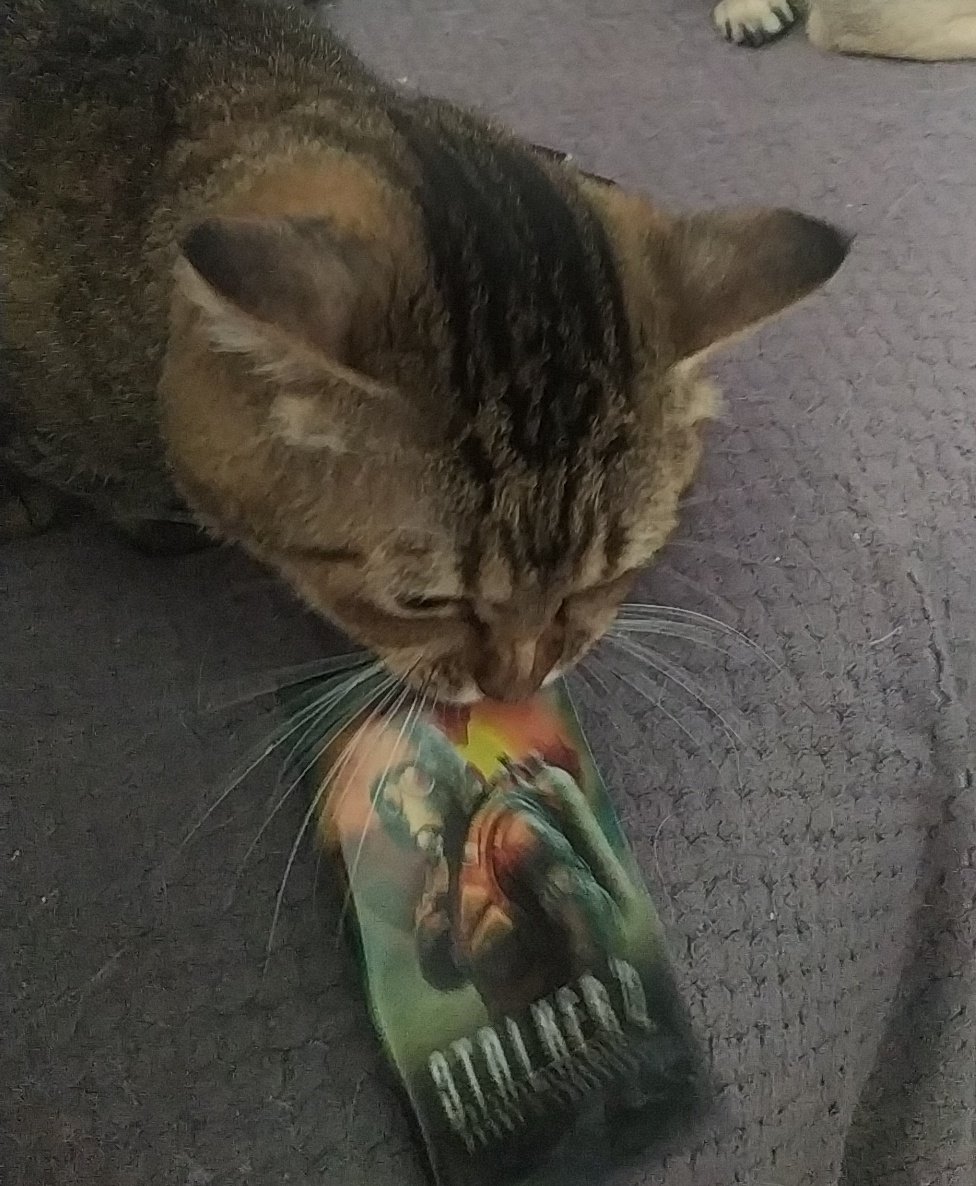 Валерія 🇺🇦 🩷💜💙 tweet media