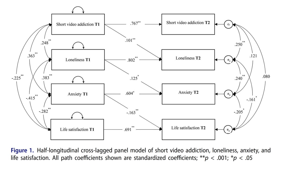 PsikoBilim tweet media