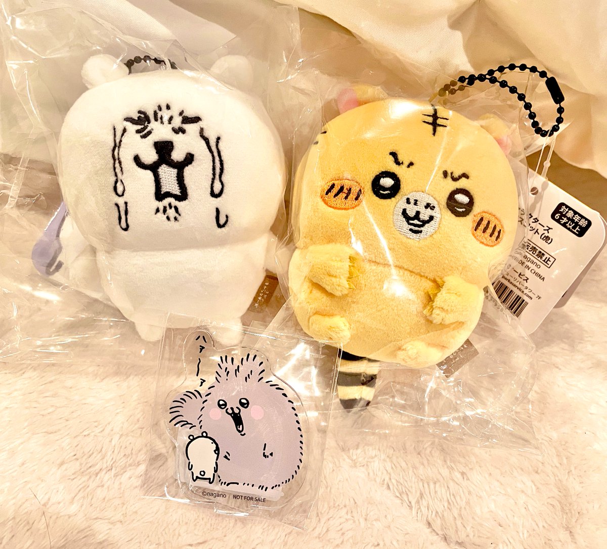 圭太( ˙ᴥ˙ )自分ツッコミくま・ナガノのくまをこよなく愛する tweet media