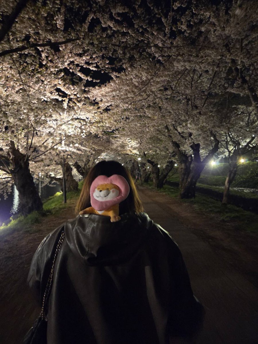 ある🍭🍎 tweet media