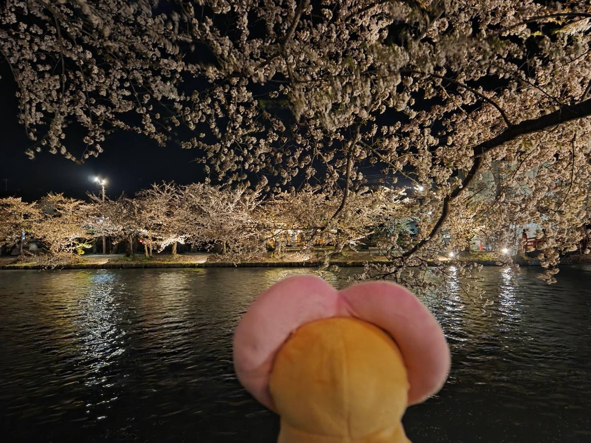 ある🍭🍎 tweet media