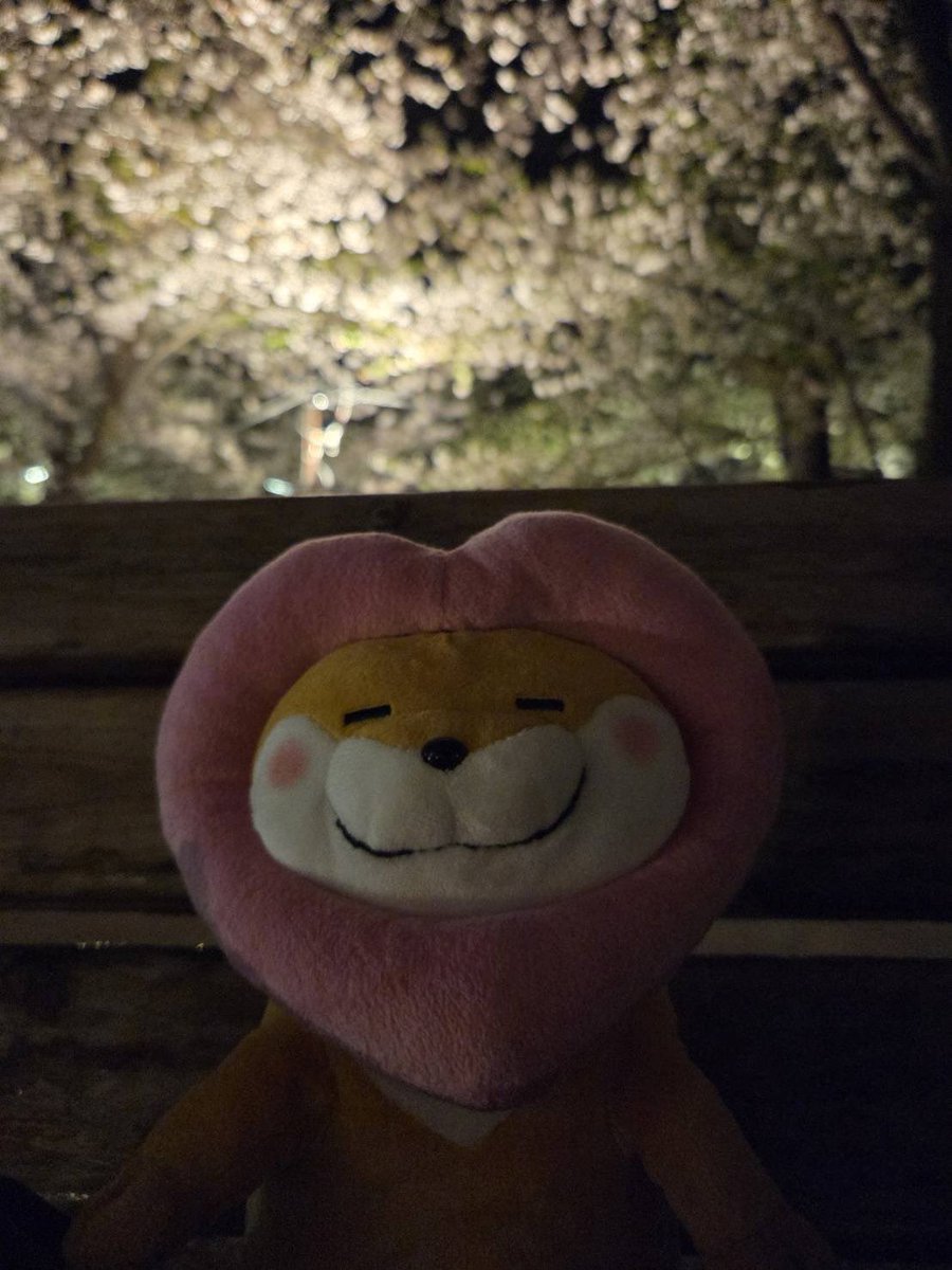 ある🍭🍎 tweet media