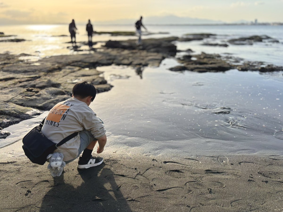 しゅぬちゃん【公式】 tweet media