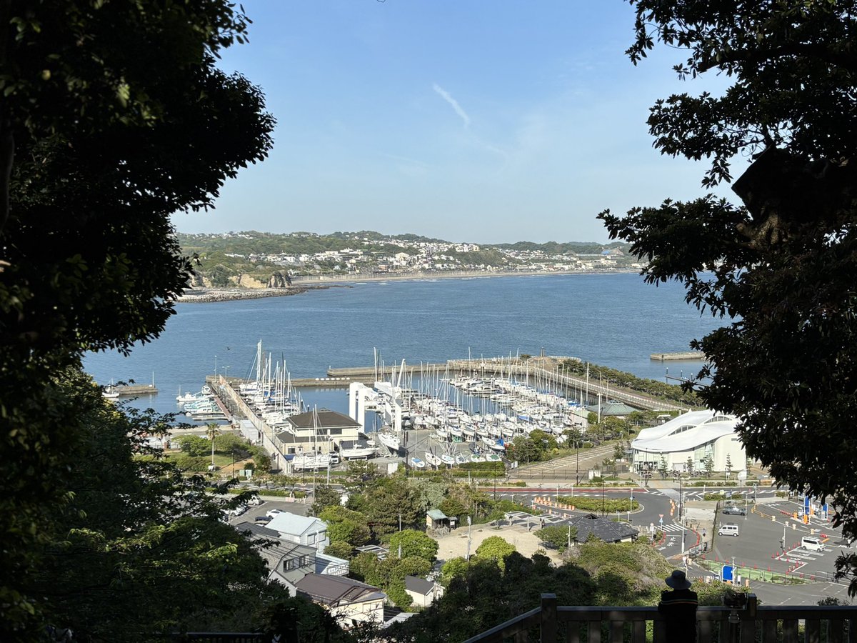 しゅぬちゃん【公式】 tweet media