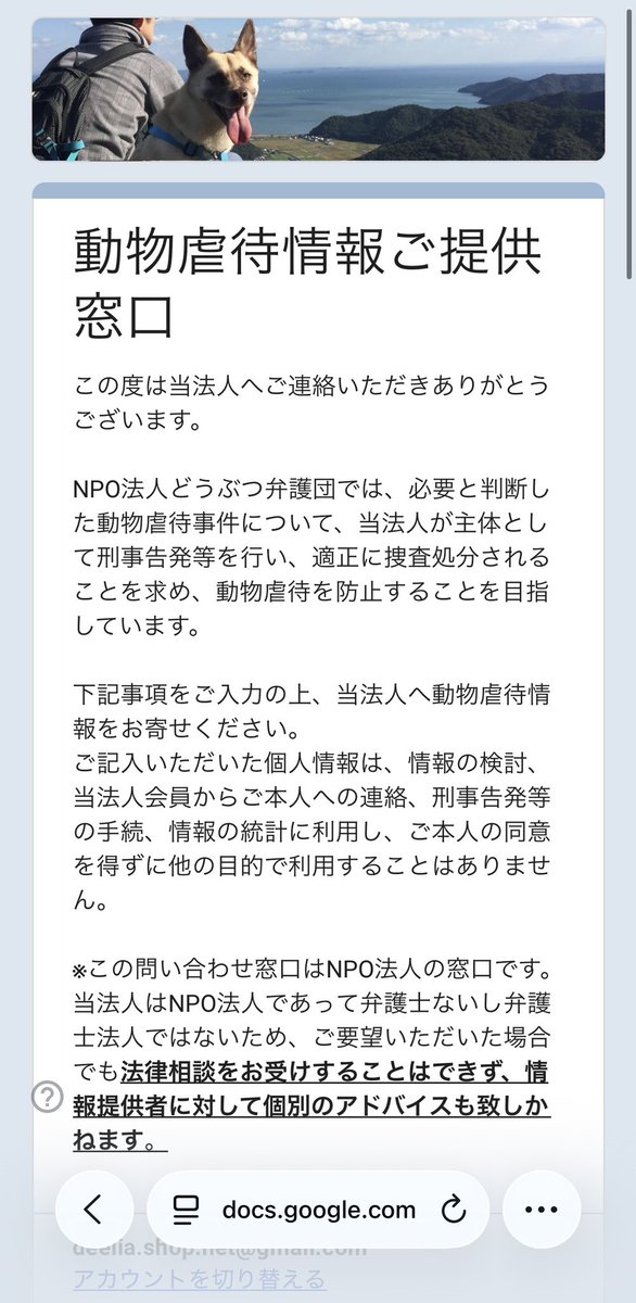 ちけとまめ🐰 tweet media