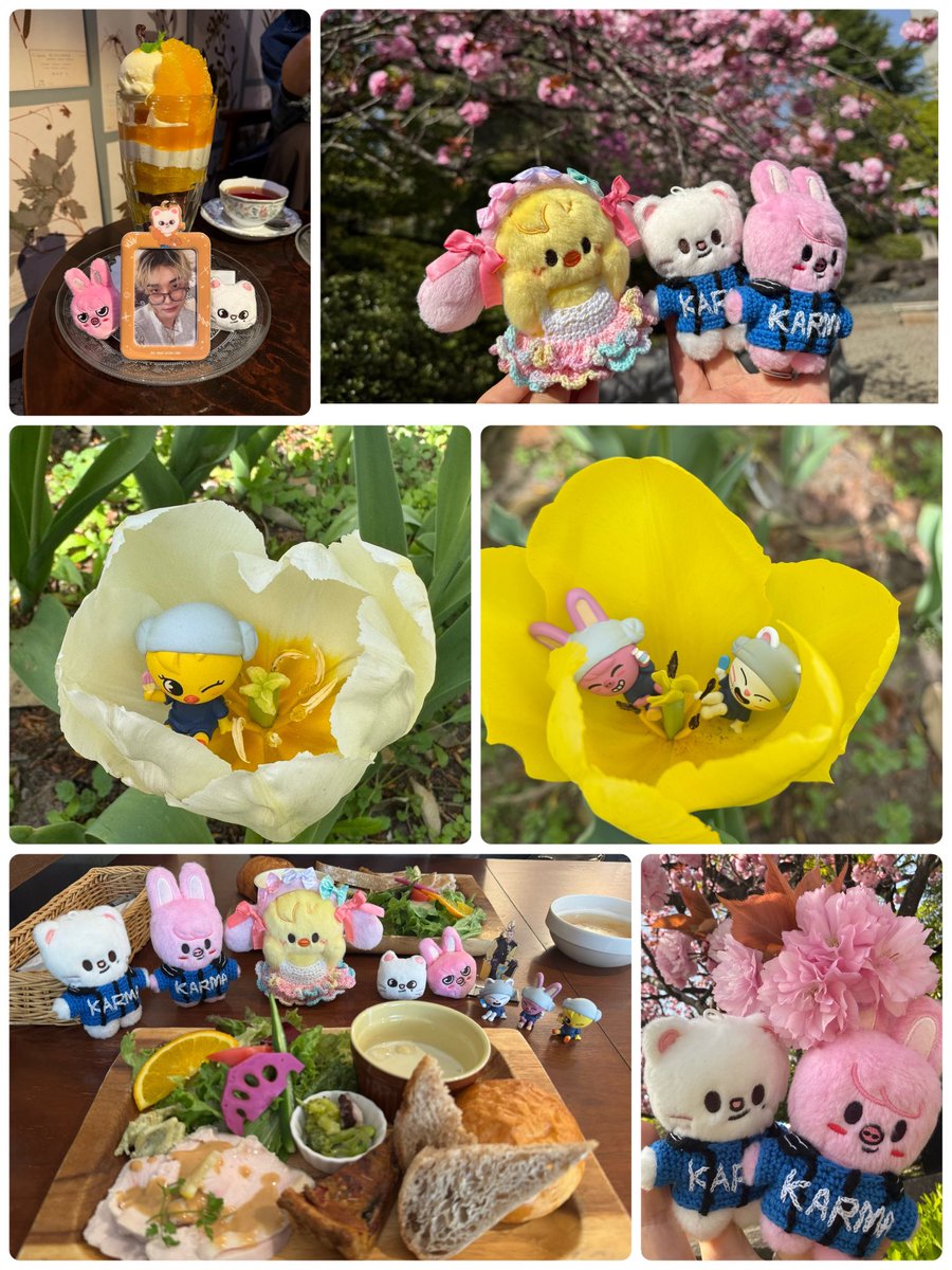 🩷トリトリ❤️🐔 토리 tweet media