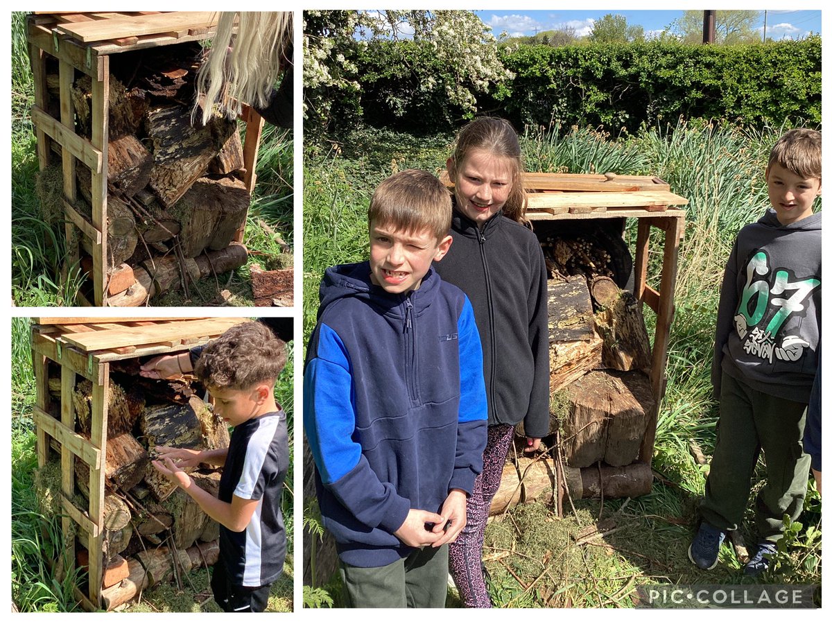 JCAWakefield's tweet image. As part of our #OutdoorLearning, Year 4 wanted to leave a legacy for the children at Jerry Clay as part of our sustainability theme. We collaborated to create  bug hotel in our outdoor area. We can’t wait to see it thrive. 🌳🐞🐛🦟🪲🐜 #LeaveNoTrace