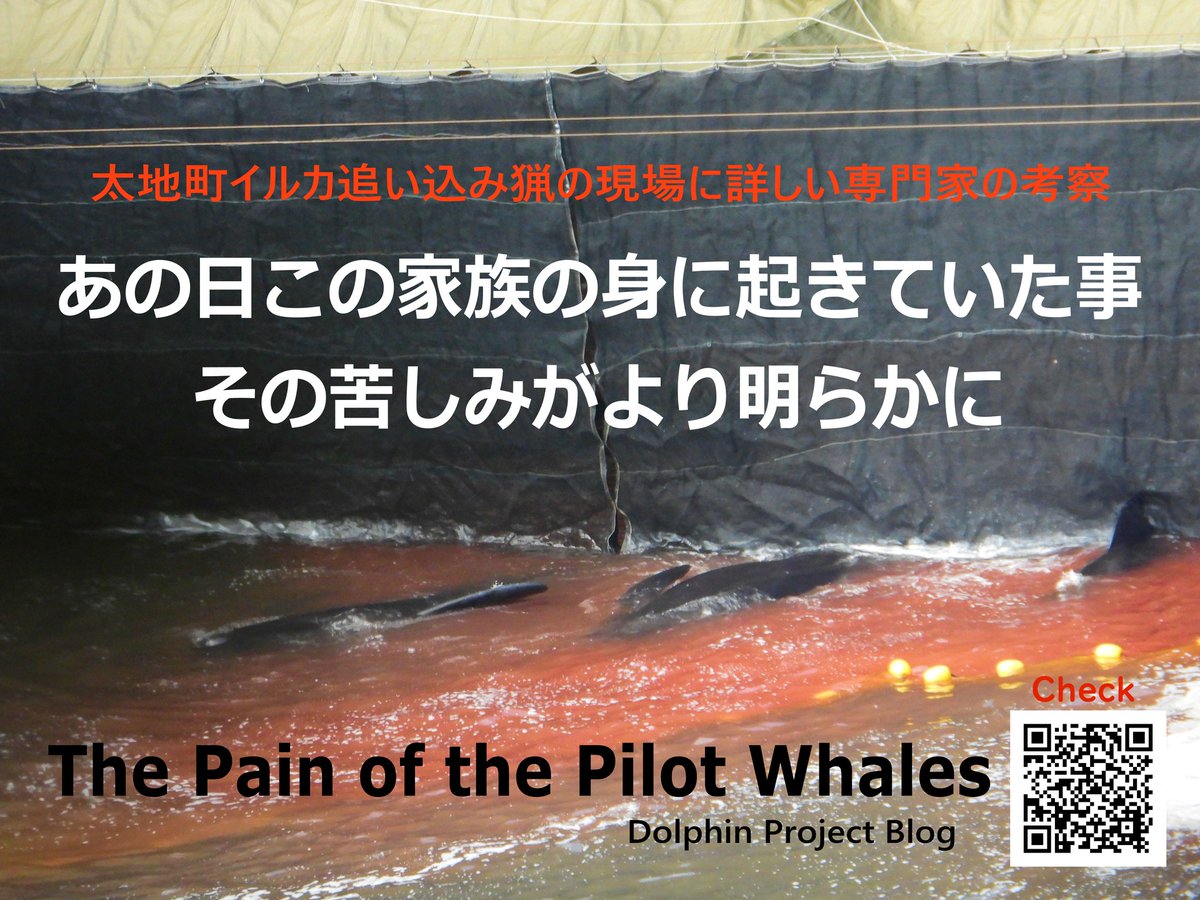 VEGANさっち～♥迫害され続ける動物の声 tweet media