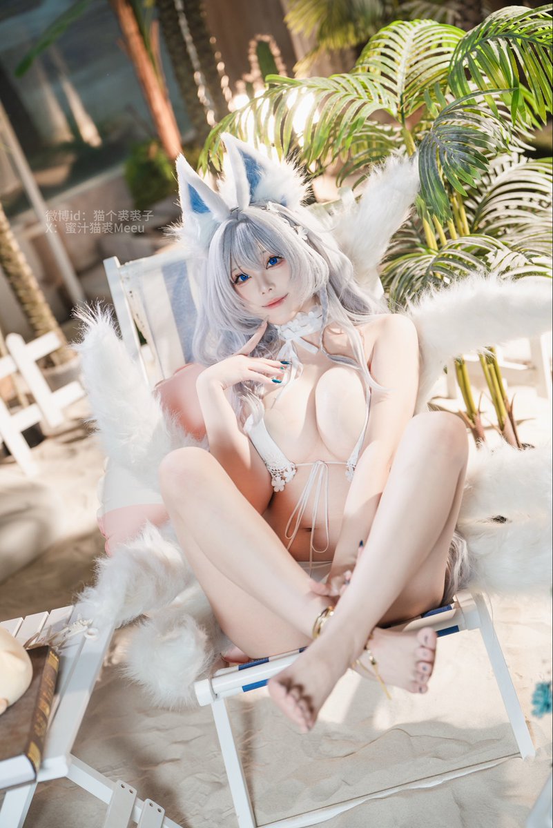 蜜汁猫裘Meeu tweet media