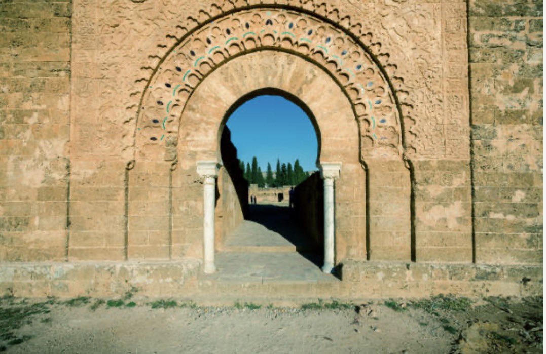 ♞ 🇩🇿 tweet media