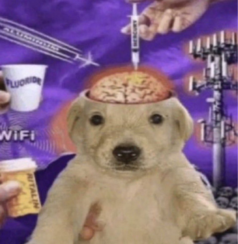 issam 🌊 tweet media