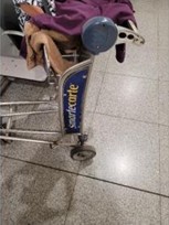 DFONewYork's tweet image. #DidYouKnow The prickly pear is also called #tuna fruit?

A passenger recently attempted to conceal several pieces of this fruit under a jacket during inspection, resulting in a $300 penalty and seizure of the prohibited items.