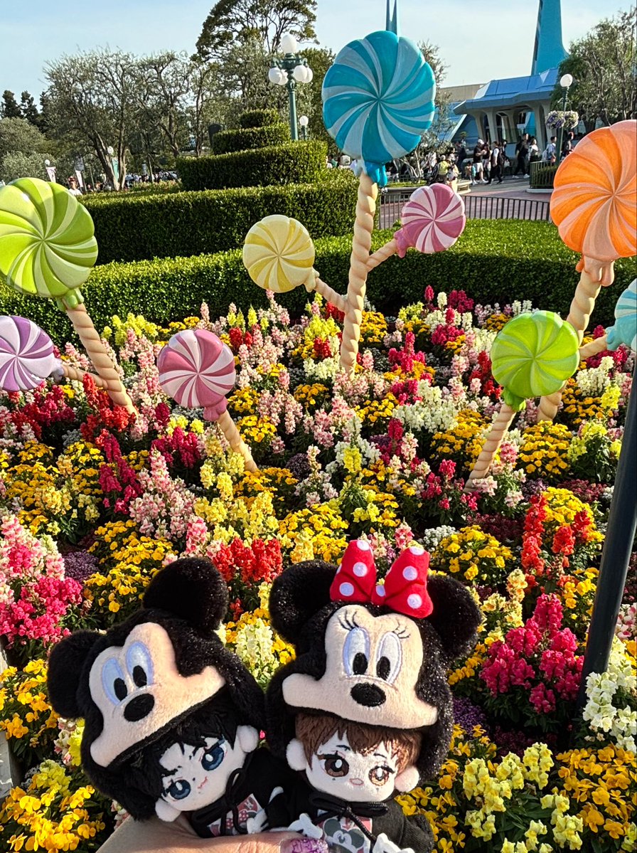 sunasan（スナさん） tweet media