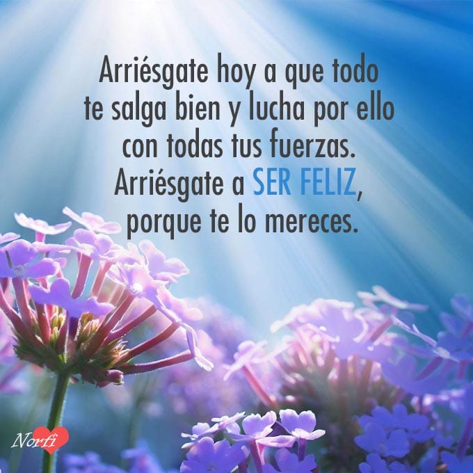 ESCRIBANO🐦 💬🐦 tweet media