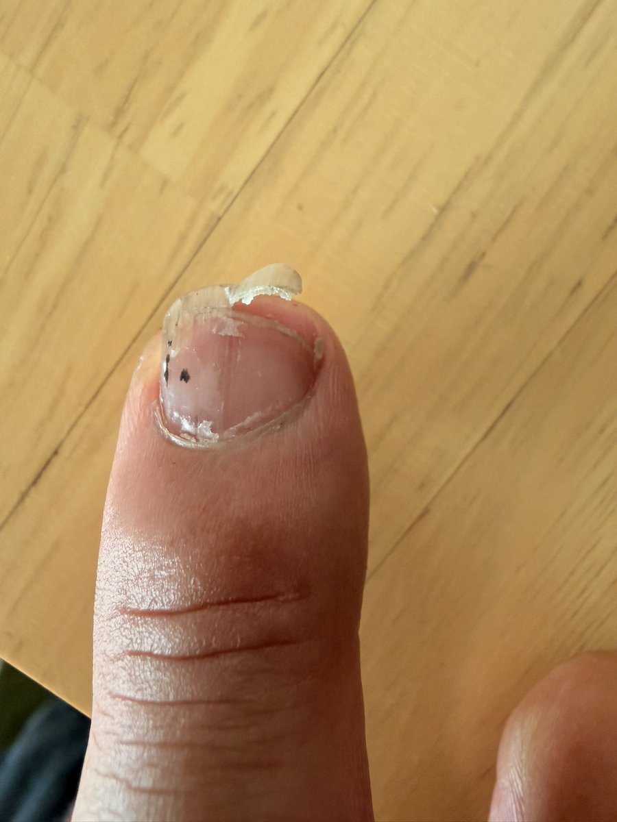 難波 章浩 tweet media