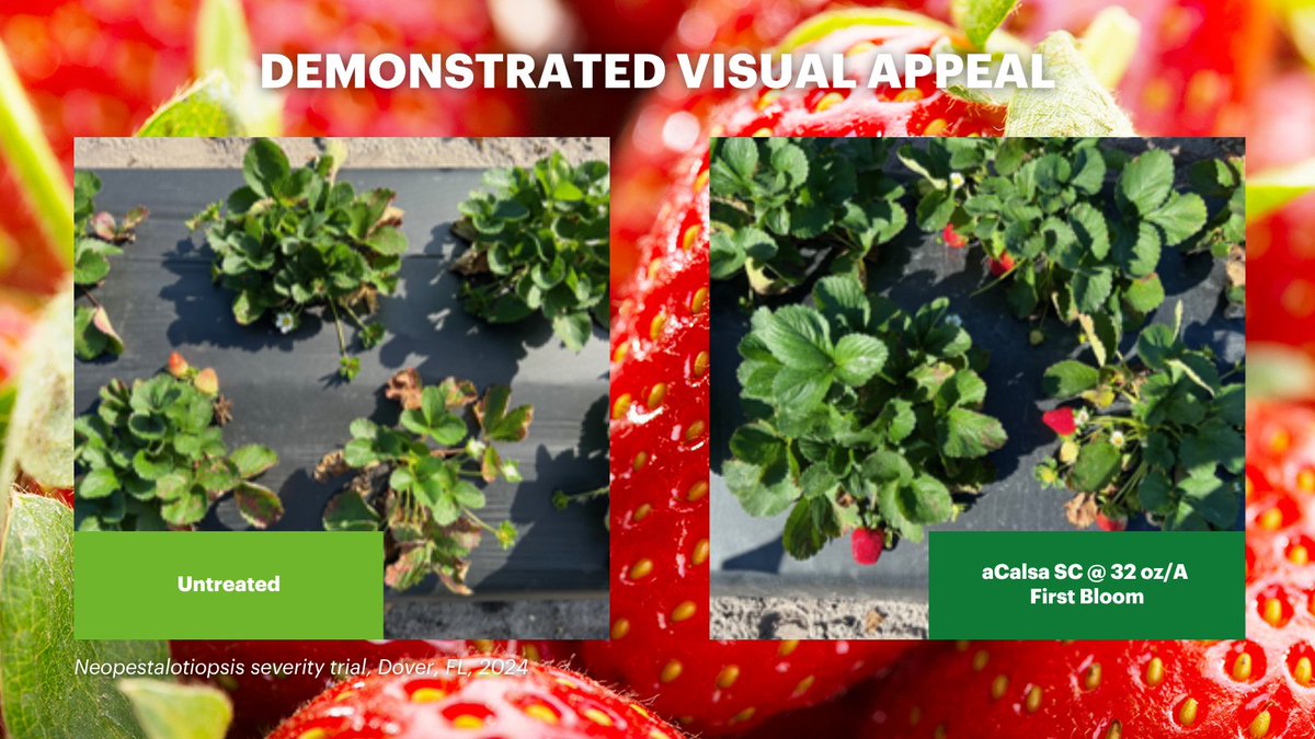 HELM Crop Solutions tweet media