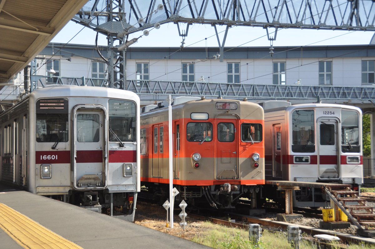 野田のはっせん tweet media