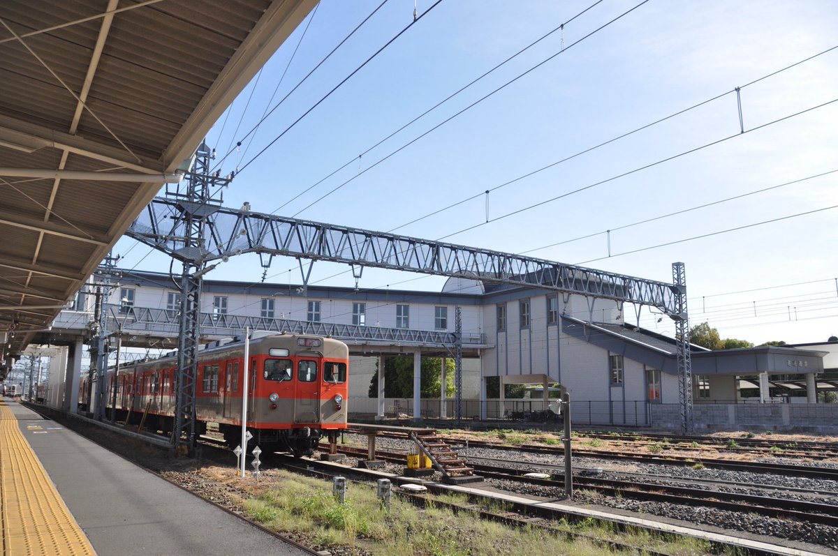 野田のはっせん tweet media