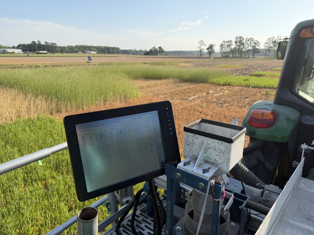 SoybeanScience1's tweet image. Soybean planting has started in Virginia! This #UpdateFromTheField comes to us from @CarrieOrtel as her team was planting into standing wheat and rye. Can you spot the different #CoverCrops and termination timings? #SoyCheckoff #SoybeanResearch #ScienceForSuccess #Plant26