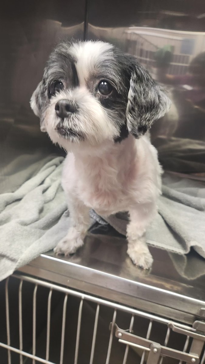 🕊️✨🌈Francis Albert 🌈✨🕊️ tweet media