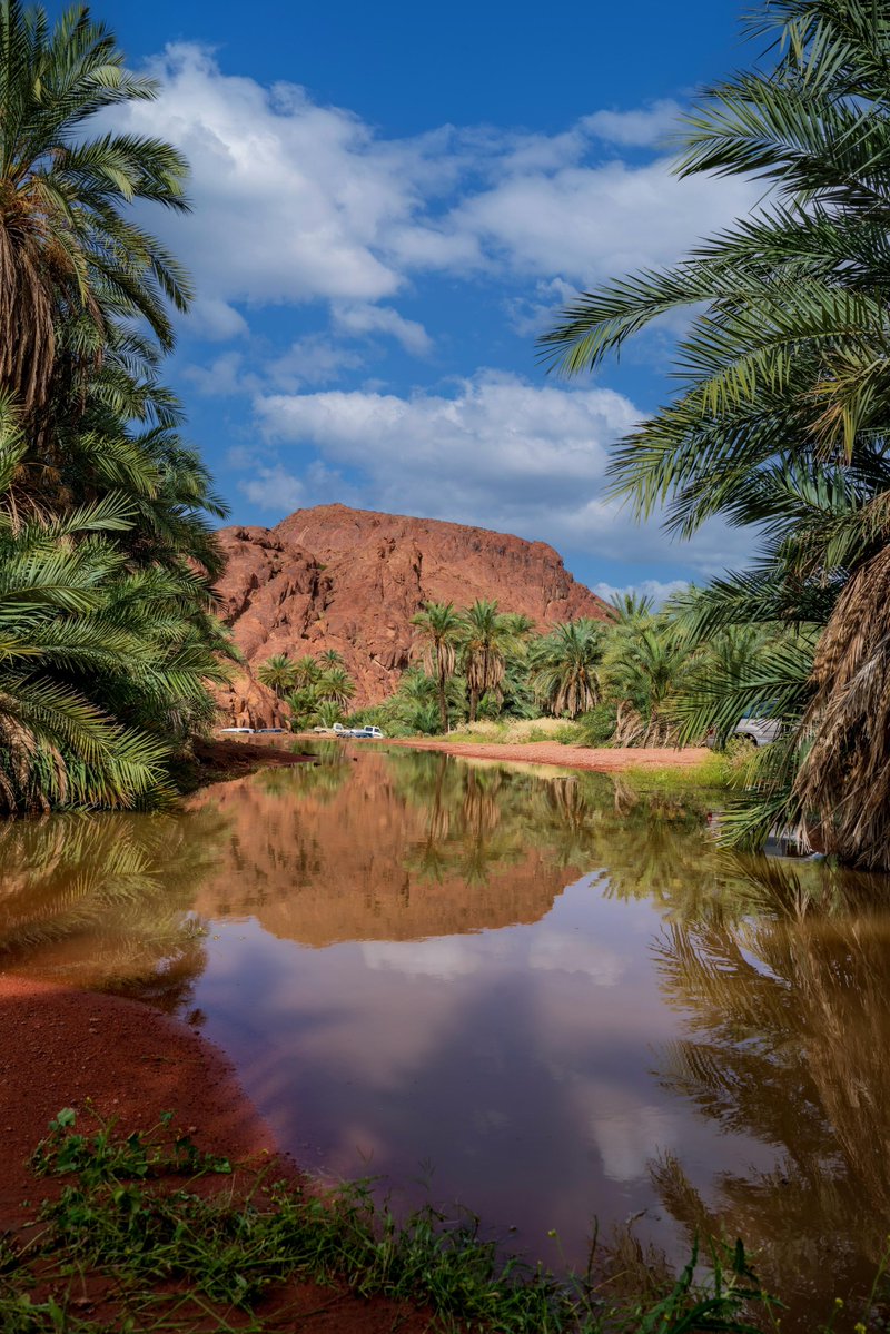 أمانة منطقة حائل tweet media