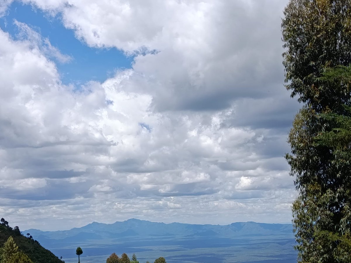 Brianne Robbie tweet media