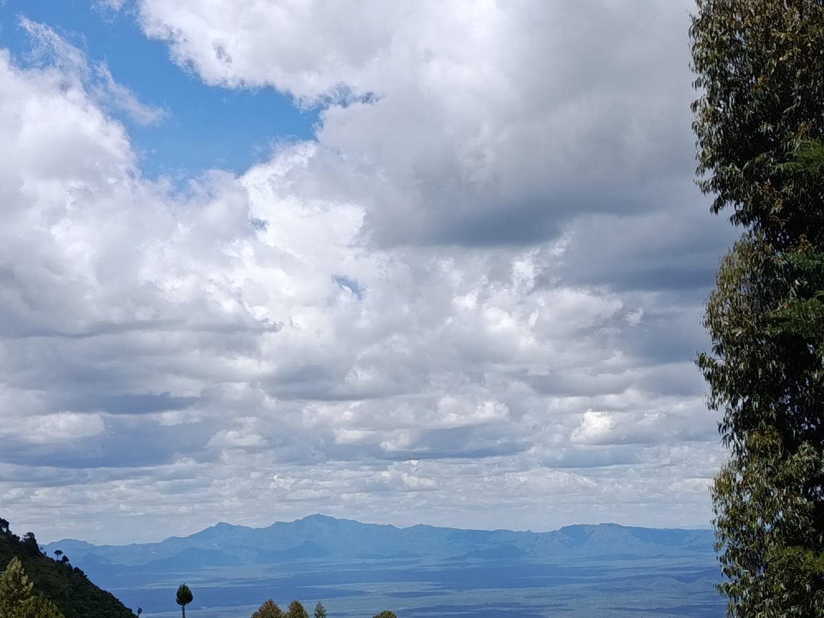 Brianne Robbie tweet media