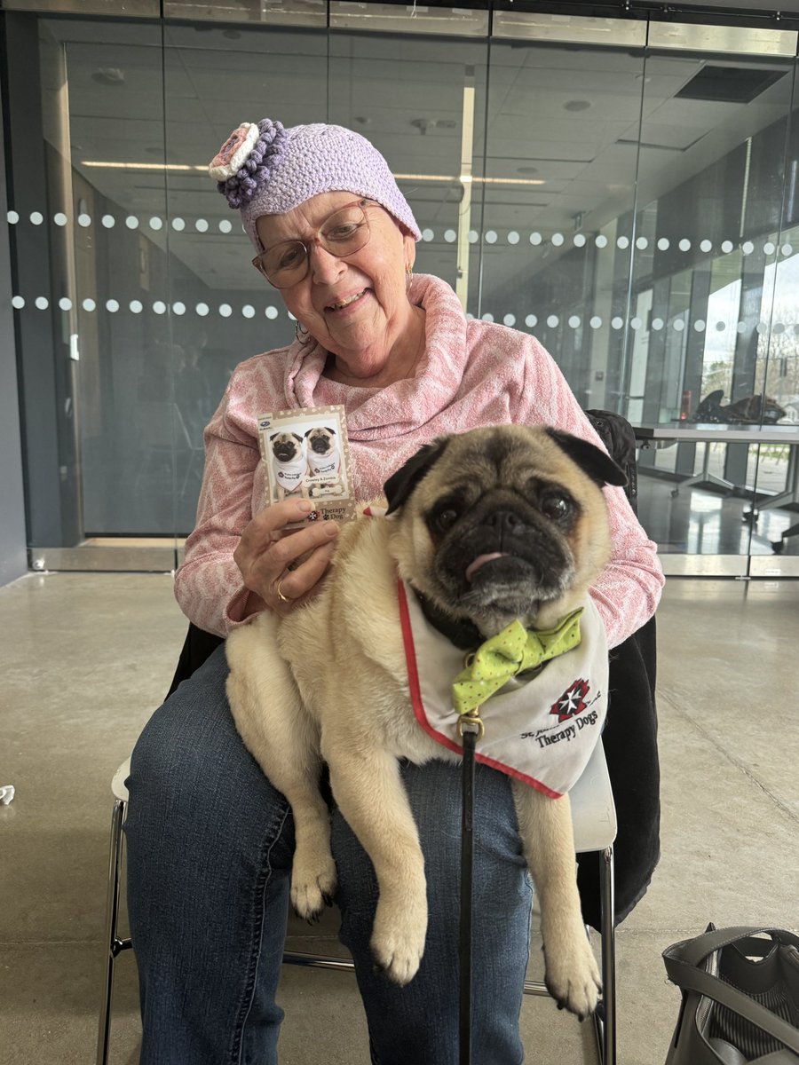IgorPugDog's tweet image. Closing in on 500 visits with the #therapydog program 💚 ~ Z man 

#pug #puglove #ldnont