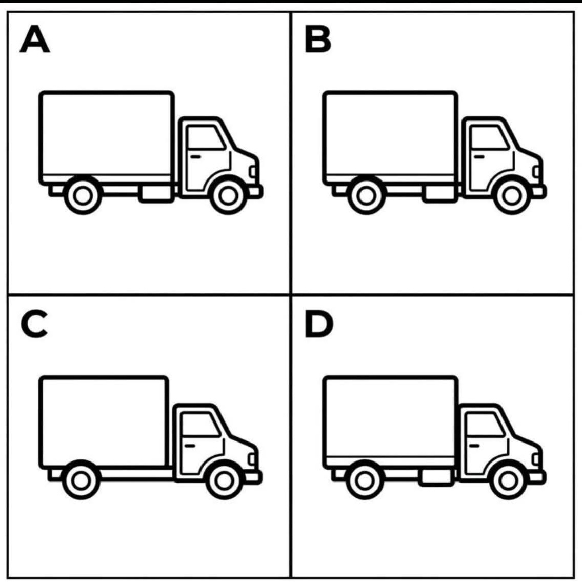 xylomyst✨ tweet media