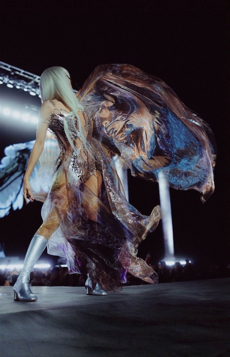 LISA BRASIL tweet media