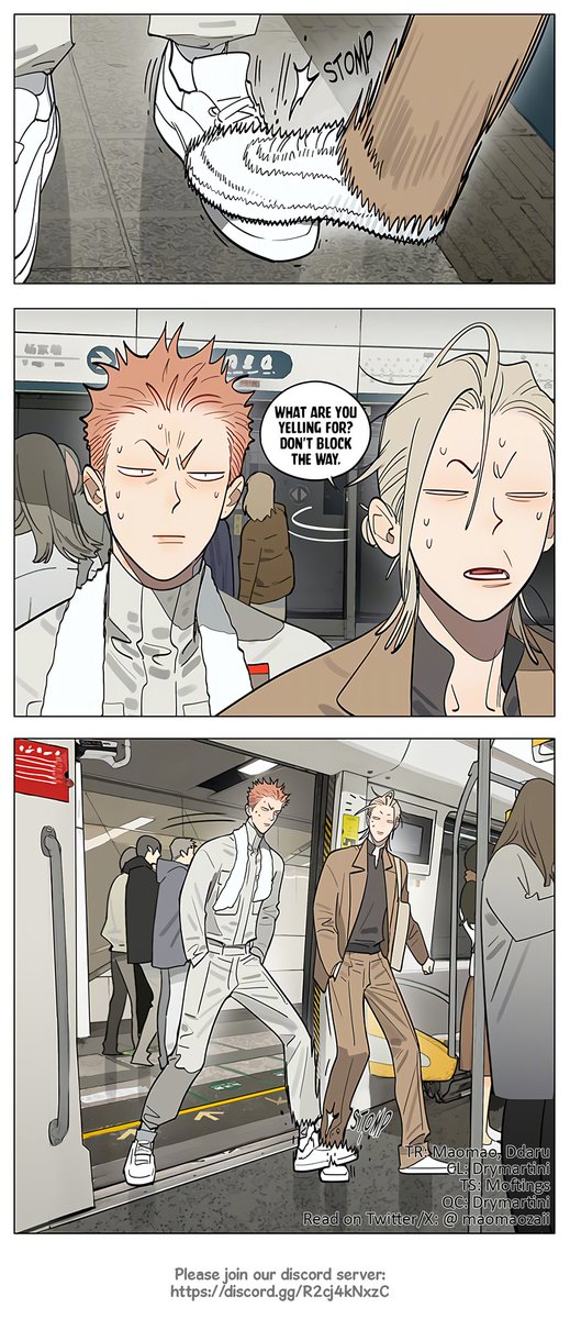 19days TR | 傲娇毛毛仔 | maomao 😼 tweet media