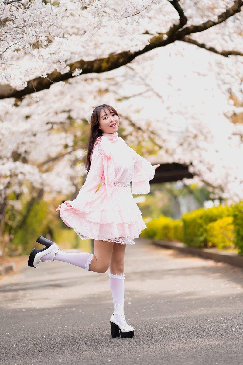 空乃Mikan tweet media