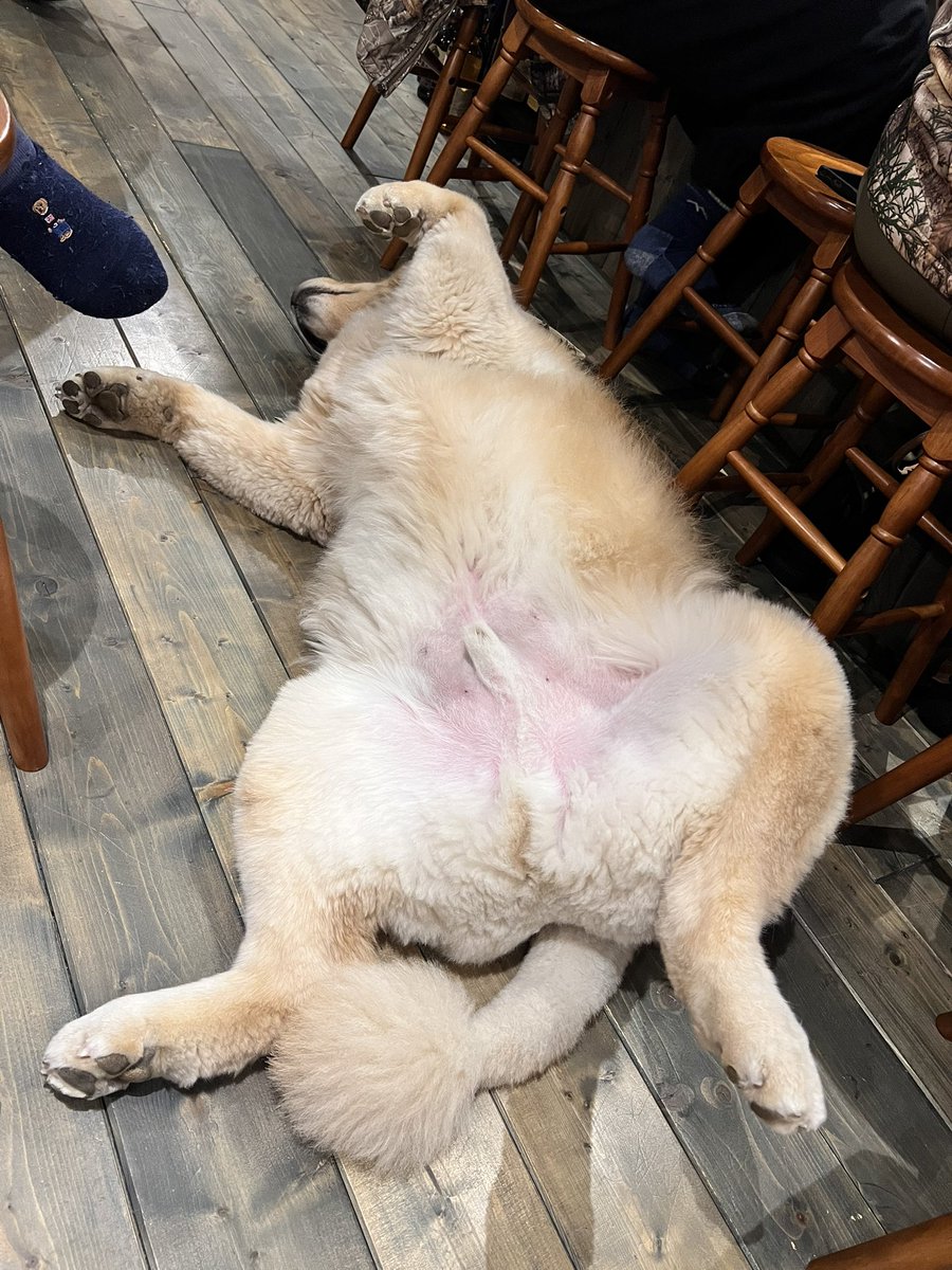 ディッパー tweet media