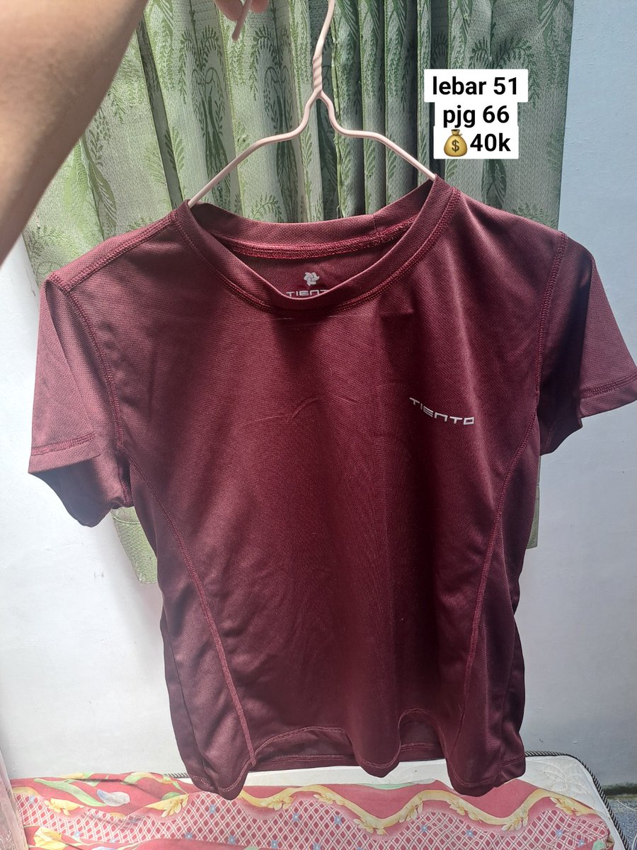 pink gerbera | mt after dm tweet media