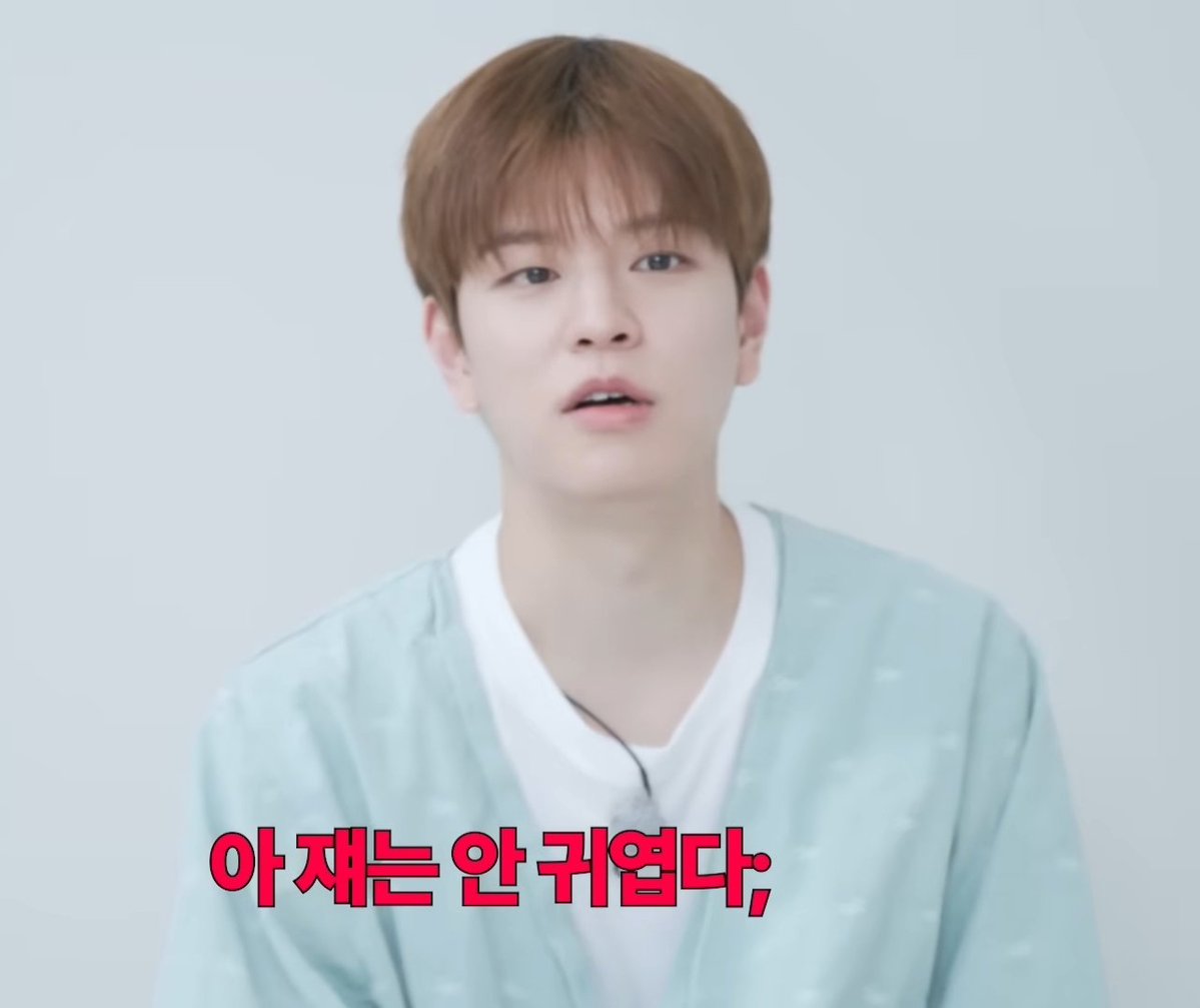 아무도없음 tweet media